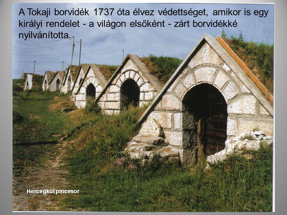 A Tokaji borvidék 1737 óta élvez védettséget, amikor is egy királyi rendelet - a világon elsőként - zárt borvidékké nyilvánította.
