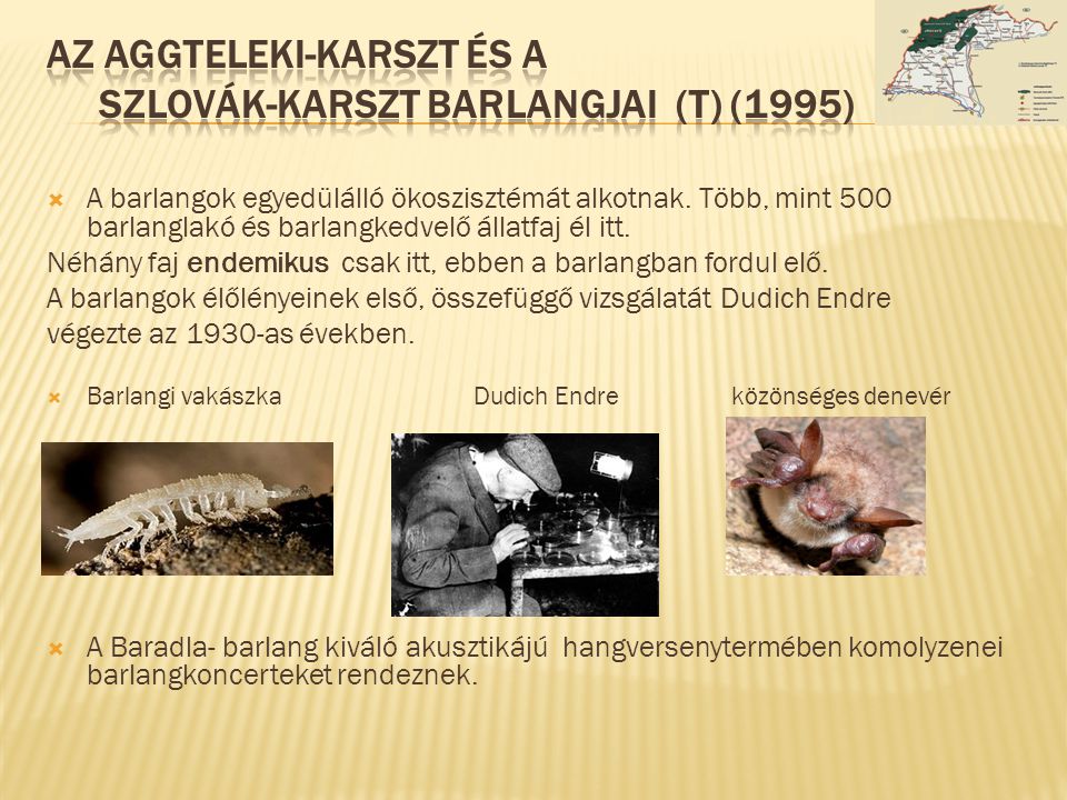 Az Aggteleki-karszt és a Szlovák-karszt barlangjai (T) (1995)