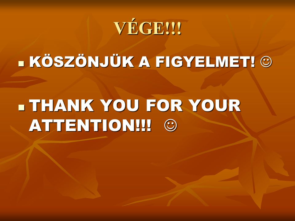 VÉGE!!! KÖSZÖNJÜK A FIGYELMET!  THANK YOU FOR YOUR ATTENTION!!! 