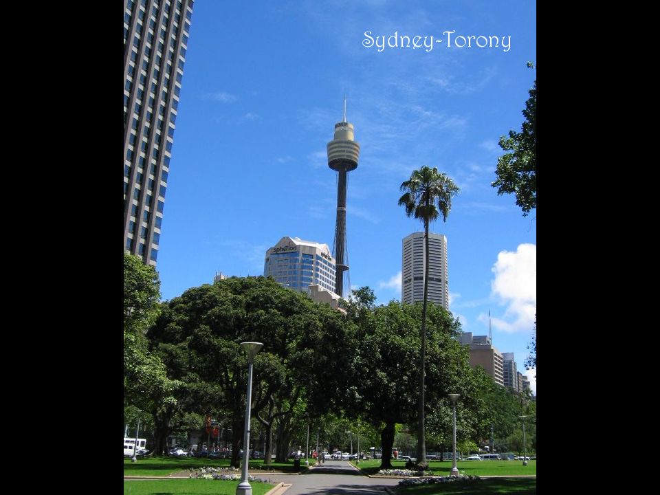 Sydney-Torony
