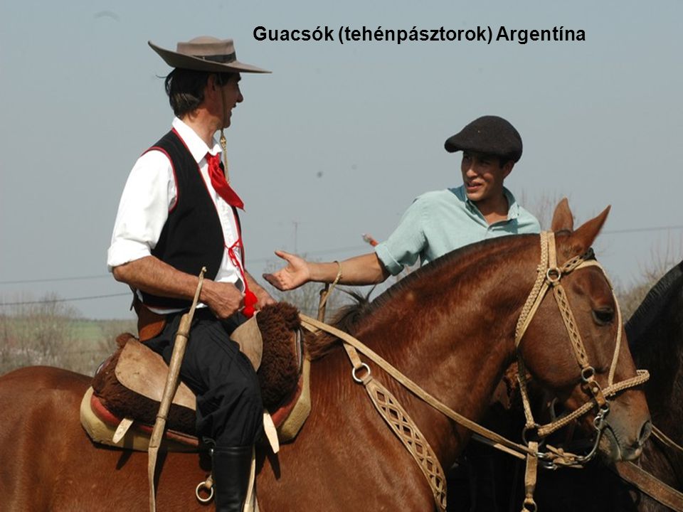 Guacsók (tehénpásztorok) Argentína