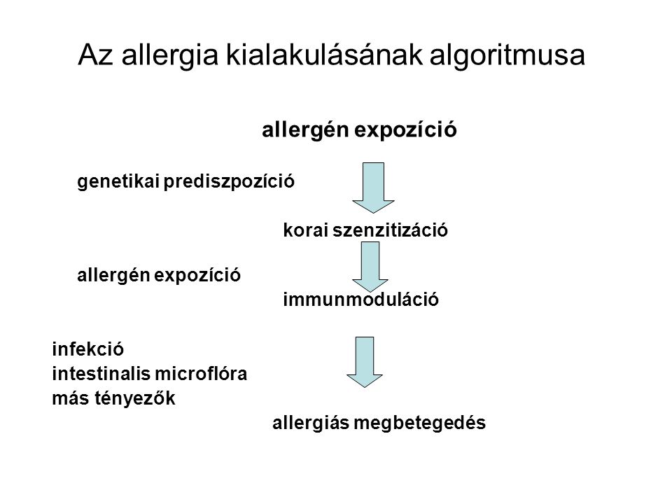 Az allergia kialakulásának algoritmusa