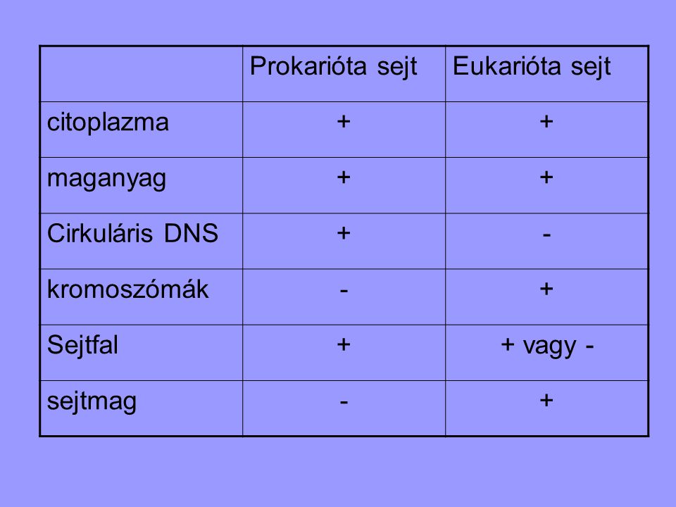 Prokarióta sejt Eukarióta sejt. citoplazma. + maganyag. Cirkuláris DNS. - kromoszómák. Sejtfal.