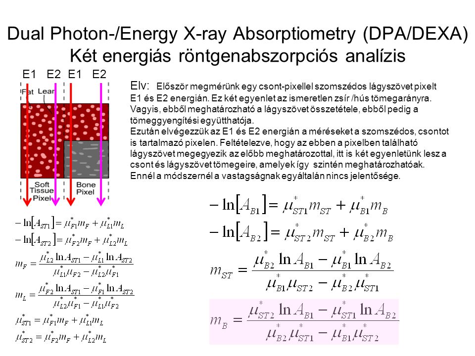 Dual Photon-/Energy X-ray Absorptiometry (DPA/DEXA) Két energiás röntgenabszorpciós analízis