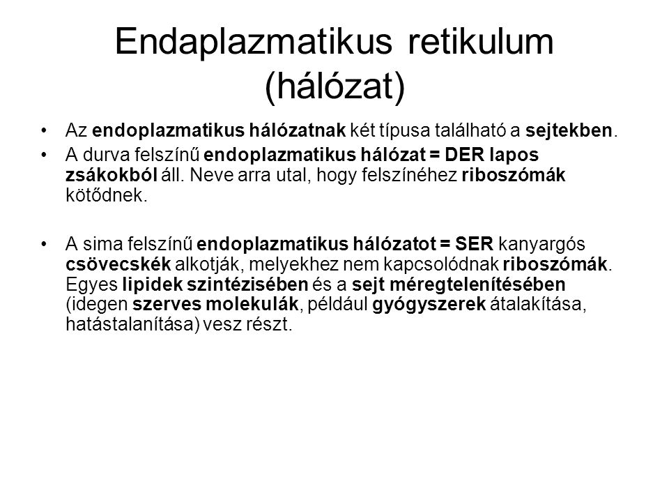 Endaplazmatikus retikulum (hálózat)
