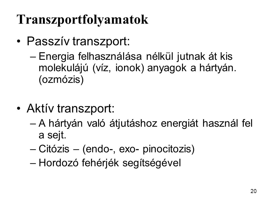 Transzportfolyamatok