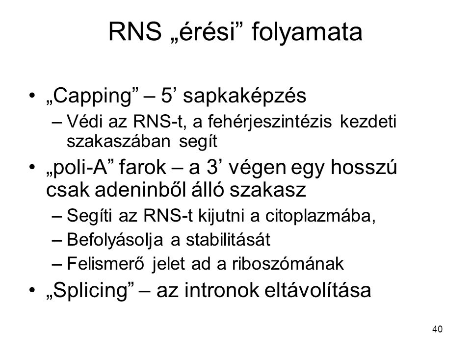 RNS „érési folyamata „Capping – 5’ sapkaképzés