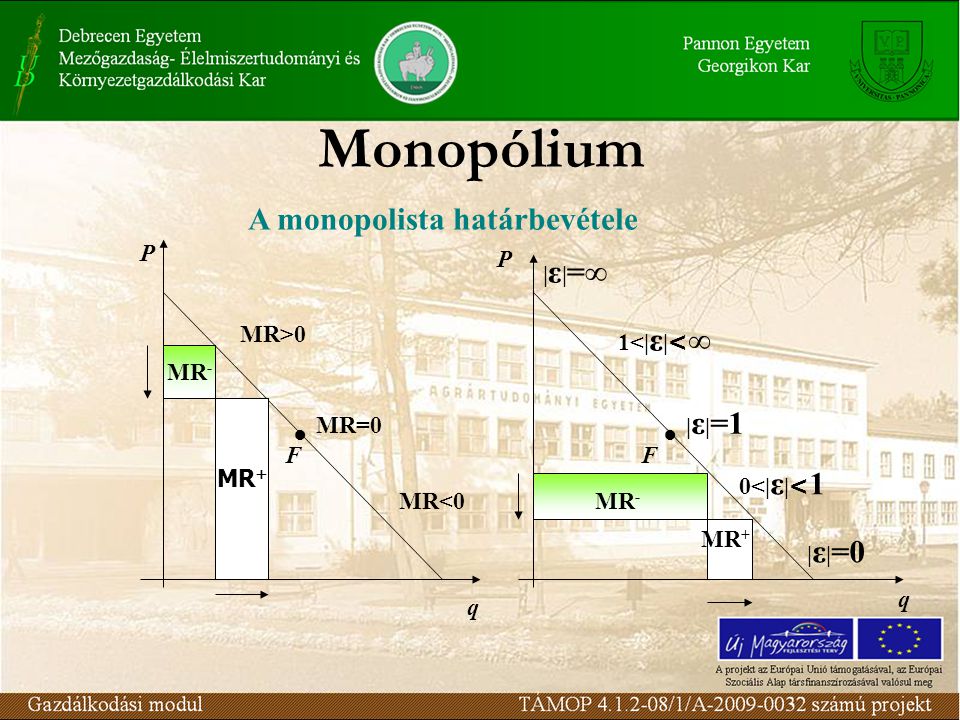 Monopólium A monopolista határbevétele P P |ε|=∞ MR>0 1<|ε|<∞