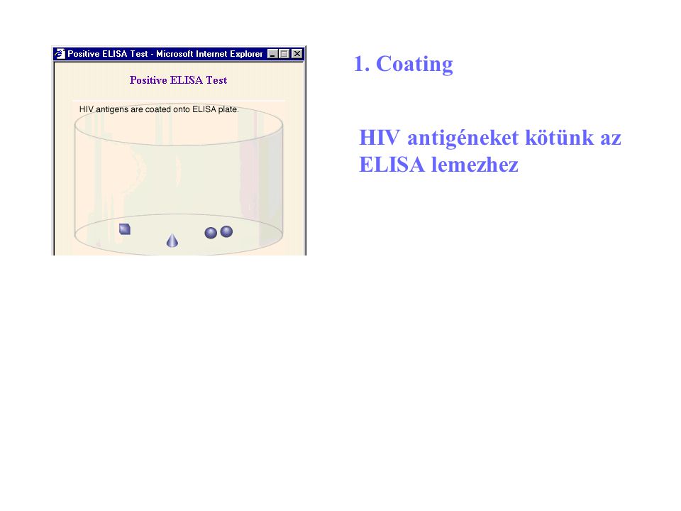 HIV antigéneket kötünk az ELISA lemezhez