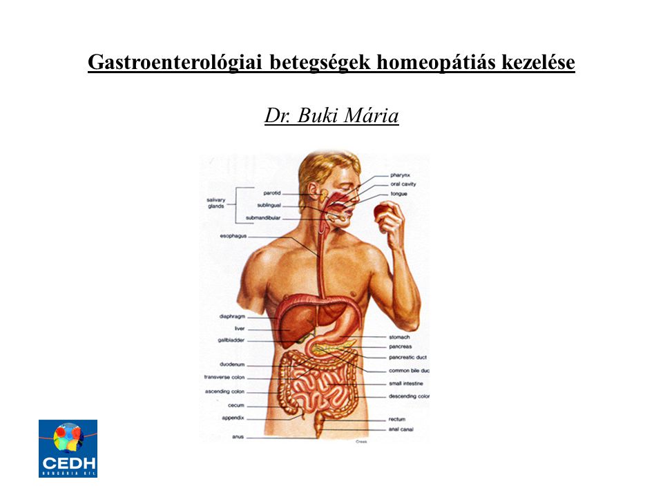 Gastroenterológiai betegségek homeopátiás kezelése