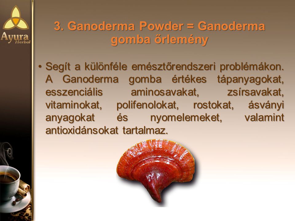 3. Ganoderma Powder = Ganoderma gomba őrlemény
