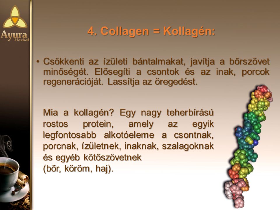4. Collagen = Kollagén: