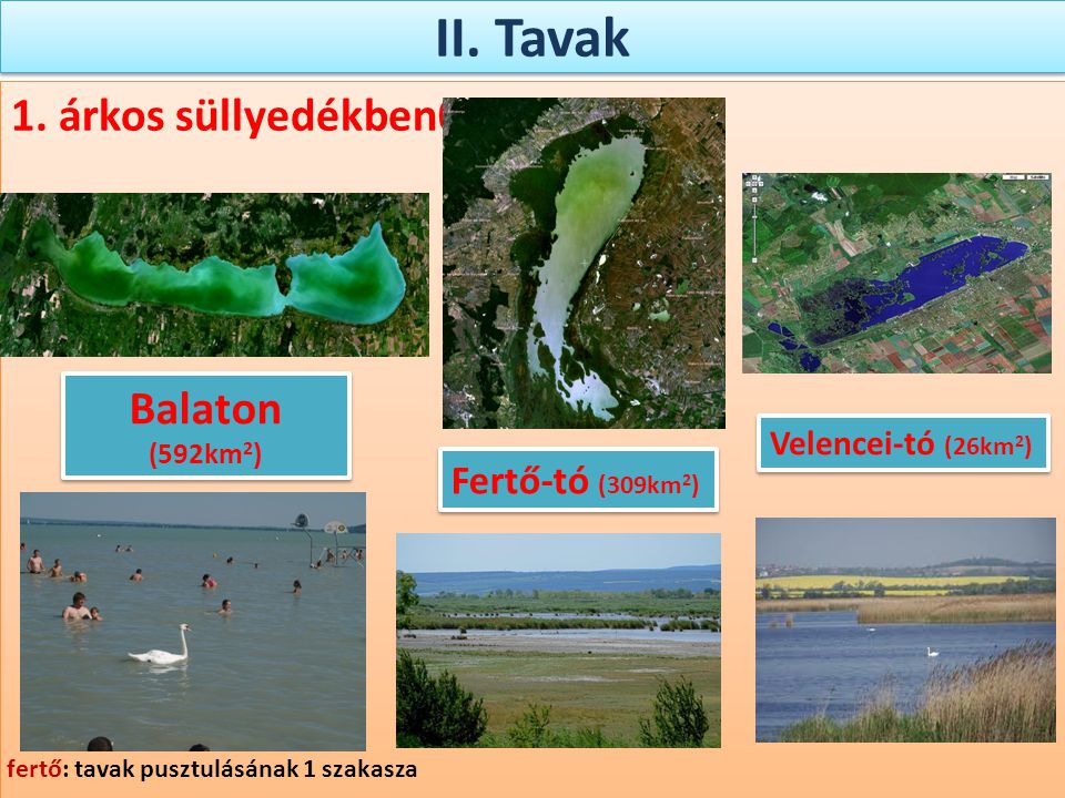 II. Tavak 1. árkos süllyedékben0 Balaton (592km2) Fertő-tó (309km2)