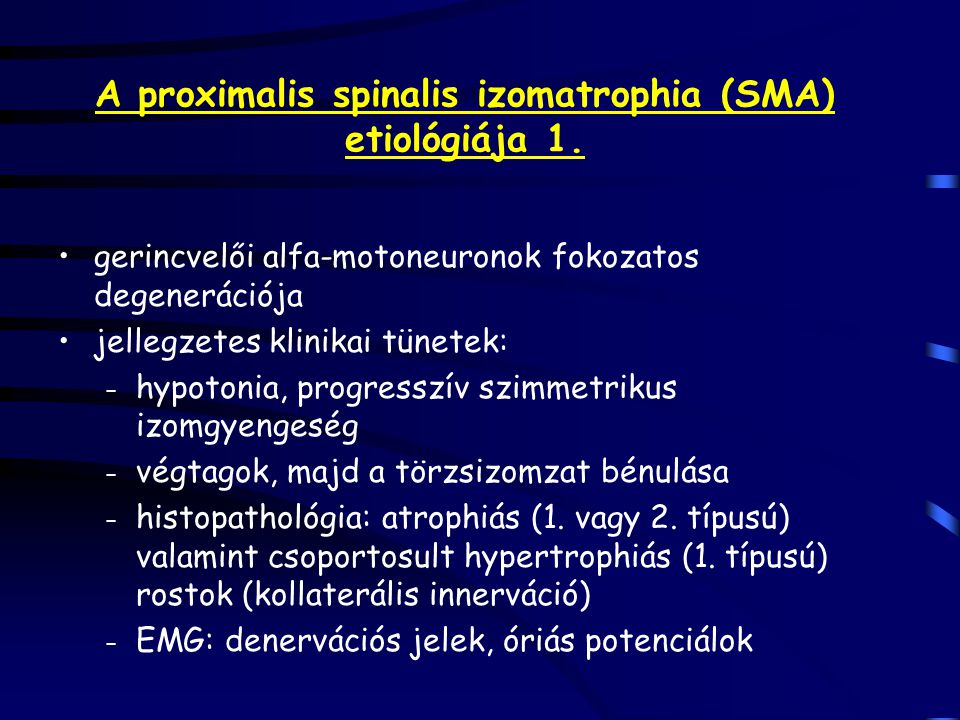 A proximalis spinalis izomatrophia (SMA) etiológiája 1.
