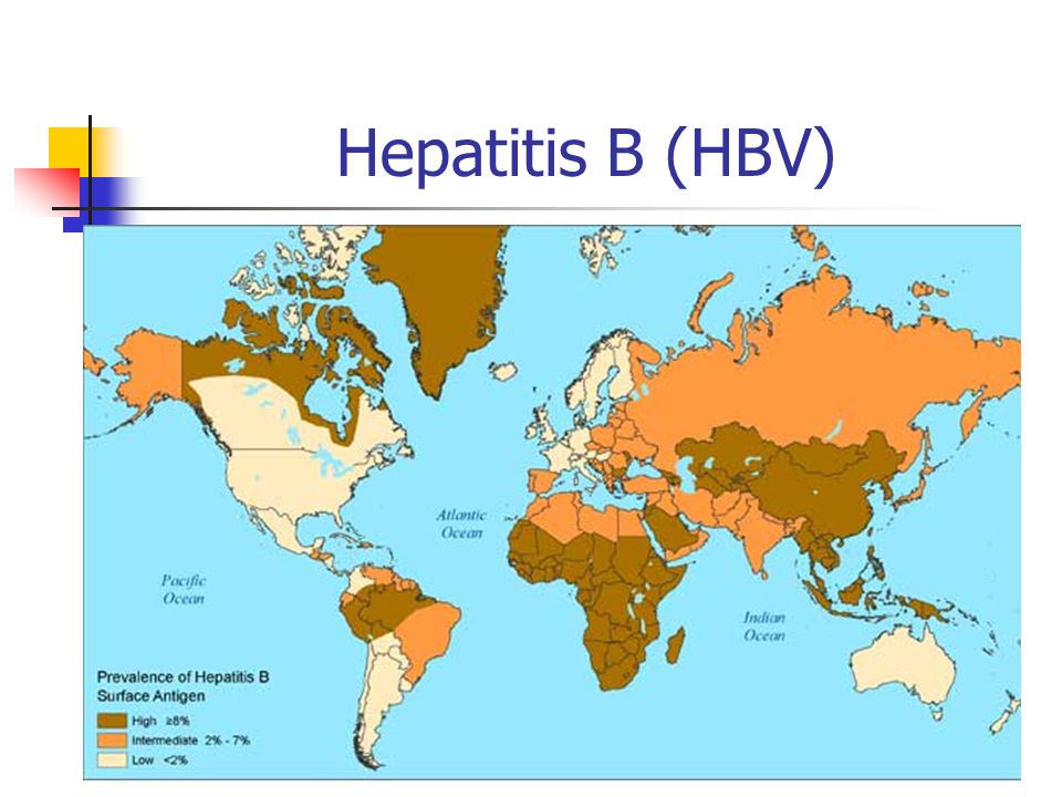 Hepatitis B (HBV)
