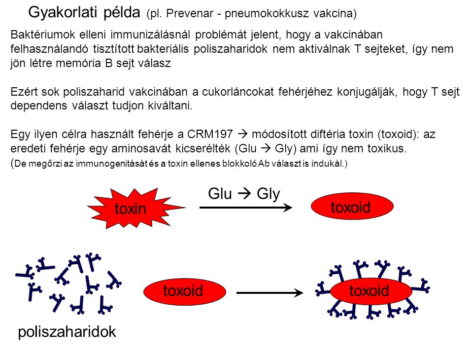 Gyakorlati példa (pl. Prevenar - pneumokokkusz vakcina)