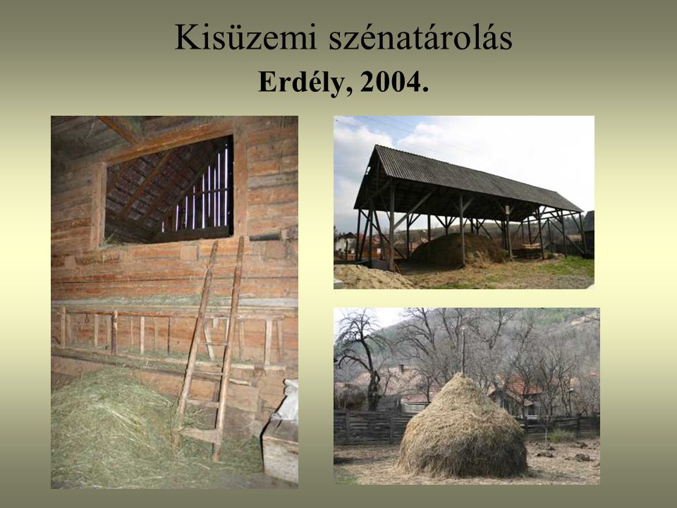 Kisüzemi szénatárolás Erdély, 2004.