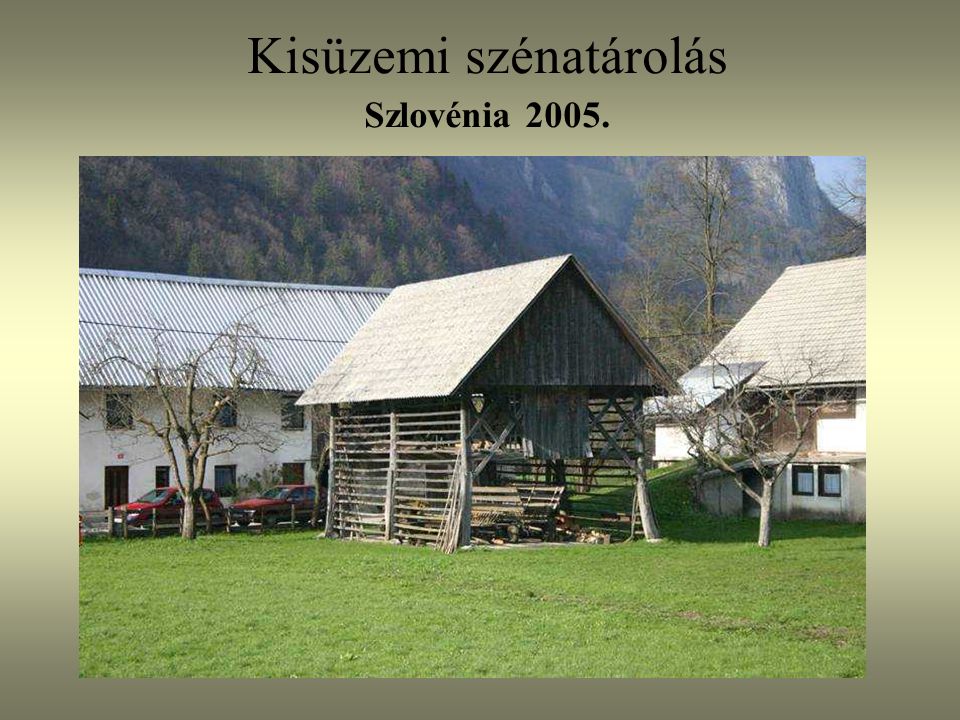 Kisüzemi szénatárolás Szlovénia 2005.