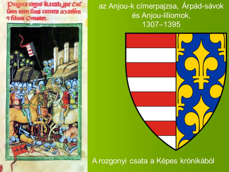 az Anjou-k címerpajzsa, Árpád-sávok és Anjou-liliomok, 1307–1395