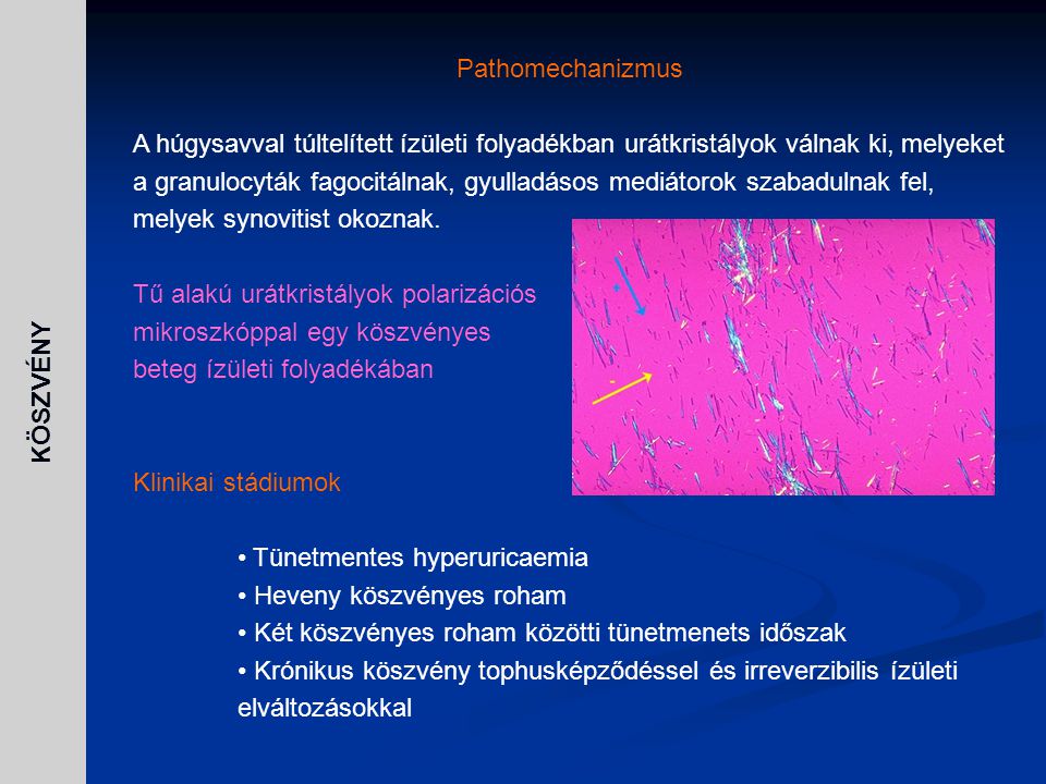 Pathomechanizmus