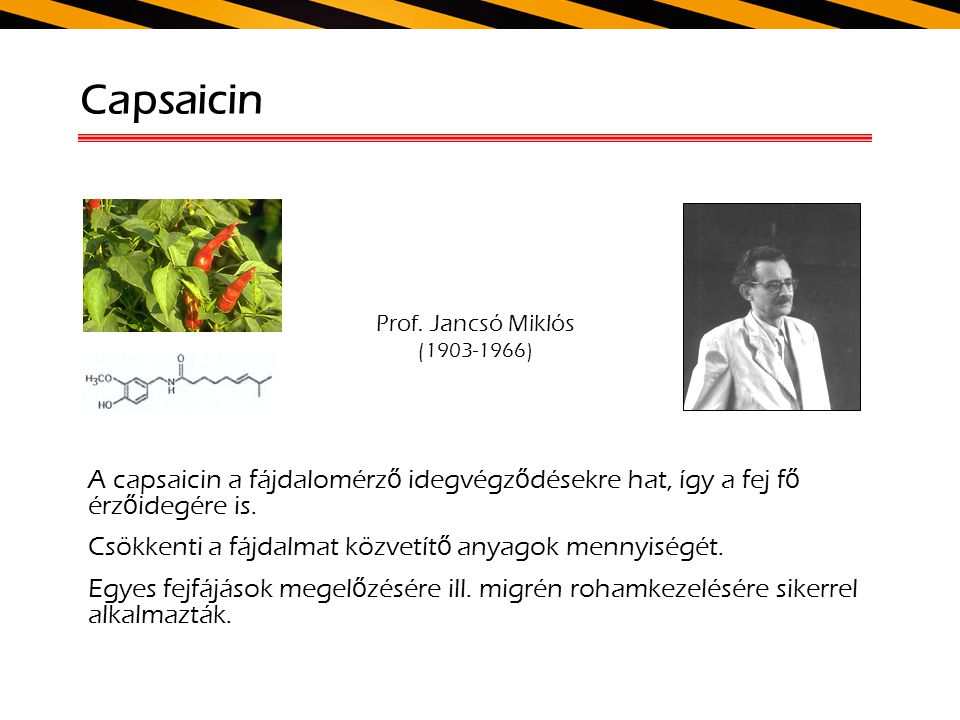 Capsaicin Prof. Jancsó Miklós. ( ) A capsaicin a fájdalomérző idegvégződésekre hat, így a fej fő érzőidegére is.