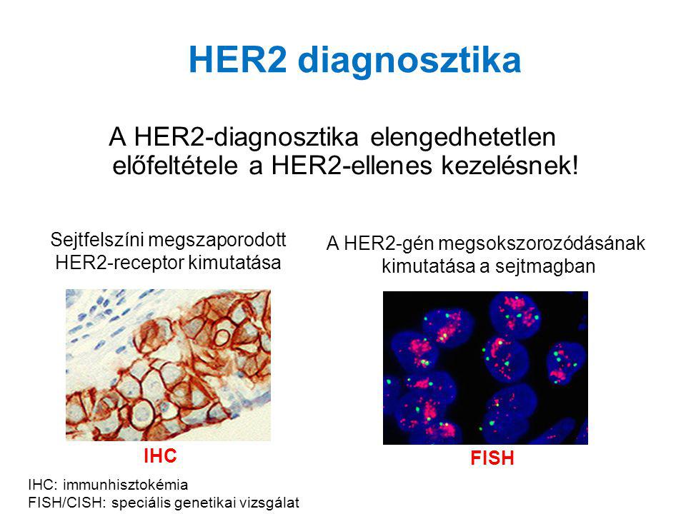 HER2 diagnosztika A HER2-diagnosztika elengedhetetlen előfeltétele a HER2-ellenes kezelésnek! Sejtfelszíni megszaporodott HER2-receptor kimutatása.