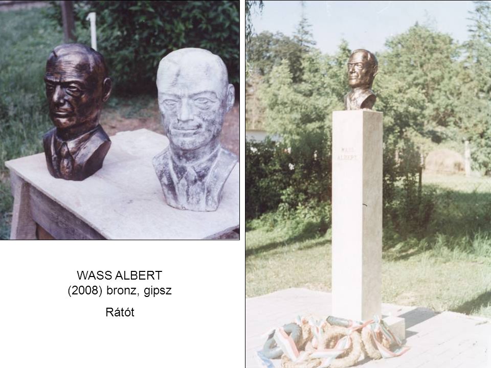 WASS ALBERT (2008) bronz, gipsz