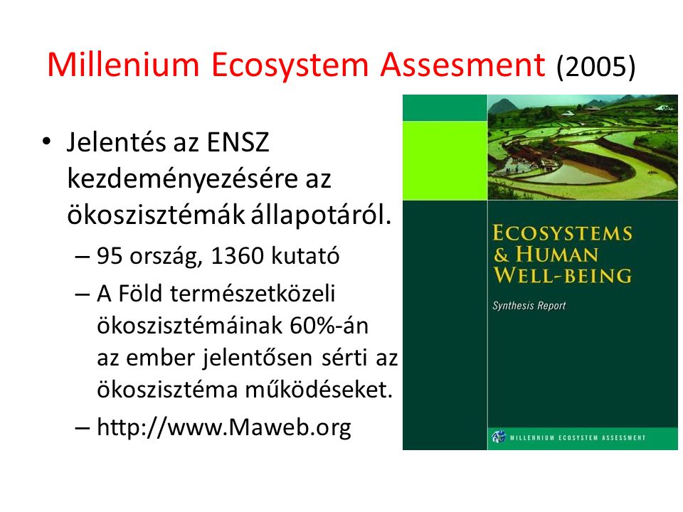 Millenium Ecosystem Assesment (2005)