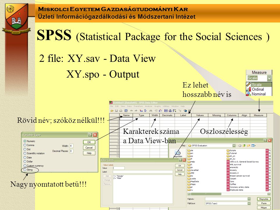 SPSS (Statistical Package for the Social Sciences )