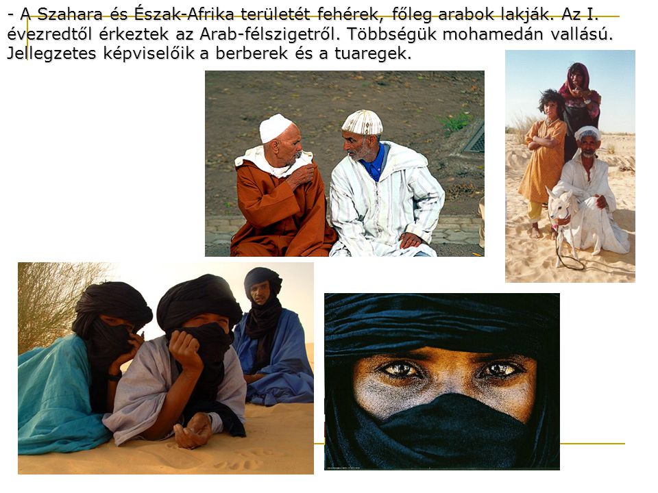 - A Szahara és Észak-Afrika területét fehérek, főleg arabok lakják