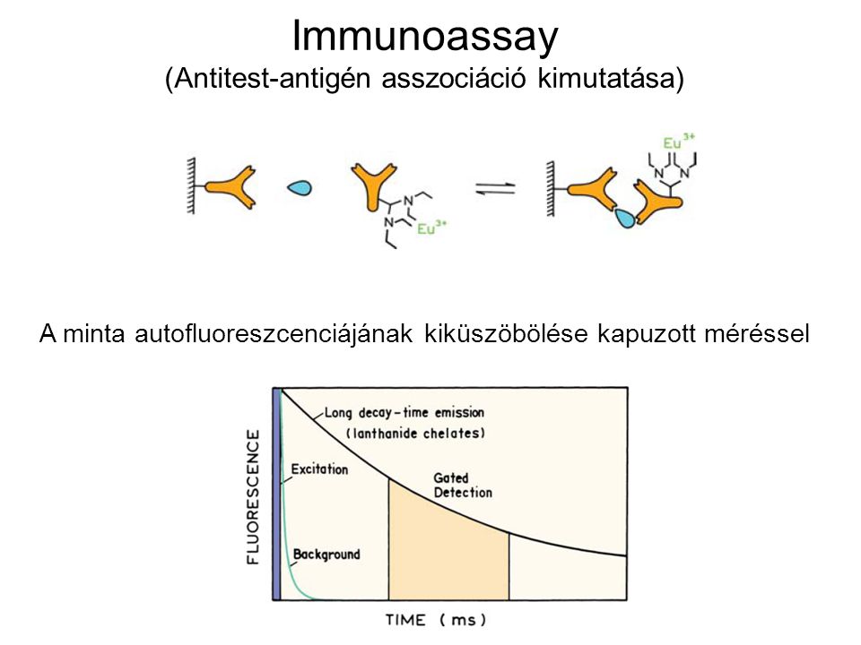 Immunoassay (Antitest-antigén asszociáció kimutatása)
