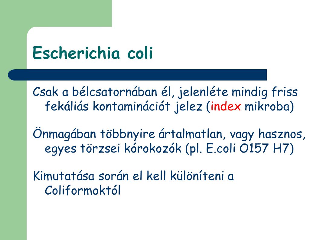 Escherichia coli Csak a bélcsatornában él, jelenléte mindig friss fekáliás kontaminációt jelez (index mikroba)