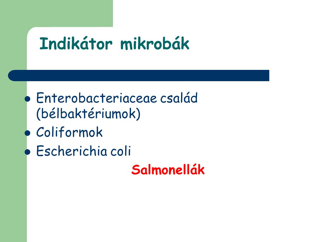 Indikátor mikrobák Enterobacteriaceae család (bélbaktériumok)