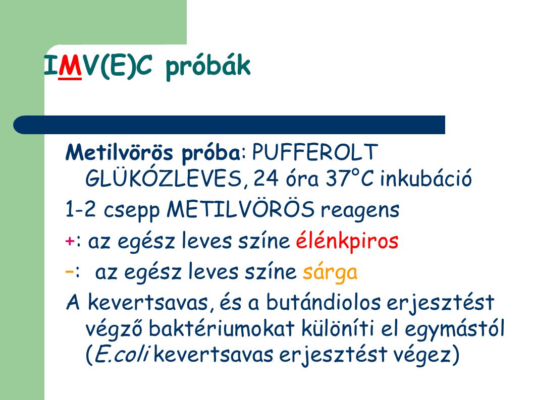 IMV(E)C próbák Metilvörös próba: PUFFEROLT GLÜKÓZLEVES, 24 óra 37°C inkubáció. 1-2 csepp METILVÖRÖS reagens.
