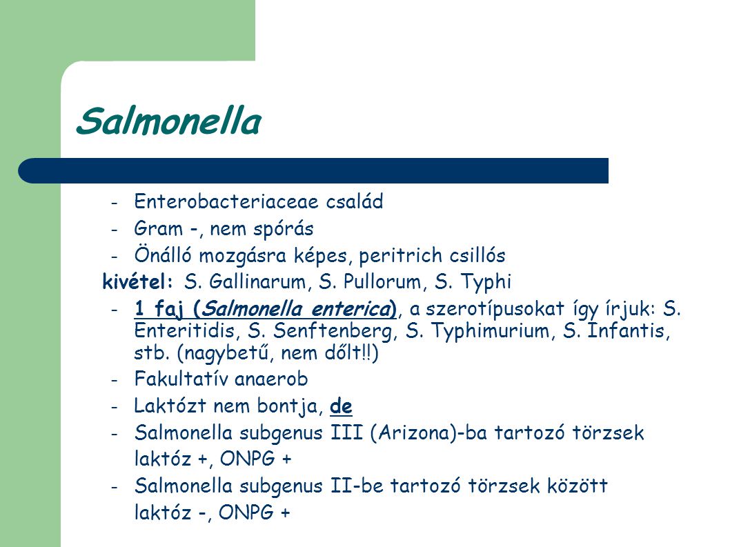 Salmonella Enterobacteriaceae család Gram -, nem spórás
