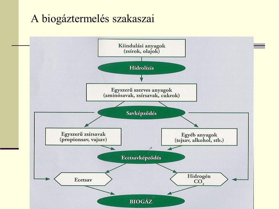 A biogáztermelés szakaszai
