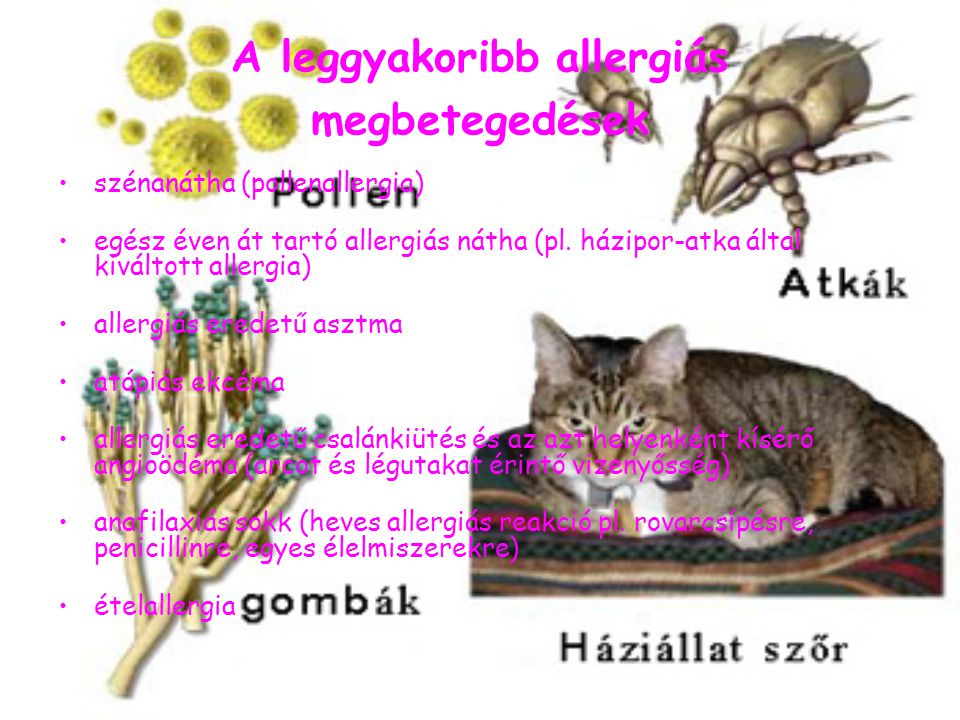 A leggyakoribb allergiás megbetegedések