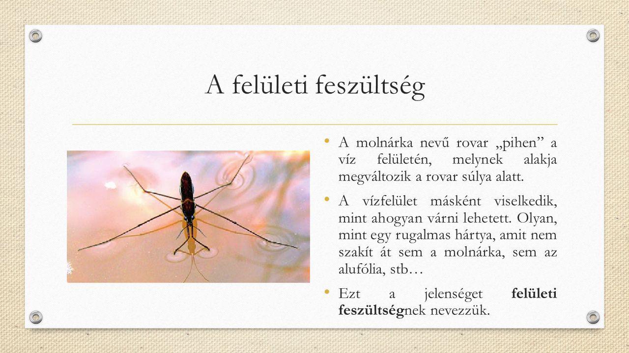 A felületi feszültség A molnárka nevű rovar „pihen a víz felületén, melynek alakja megváltozik a rovar súlya alatt.
