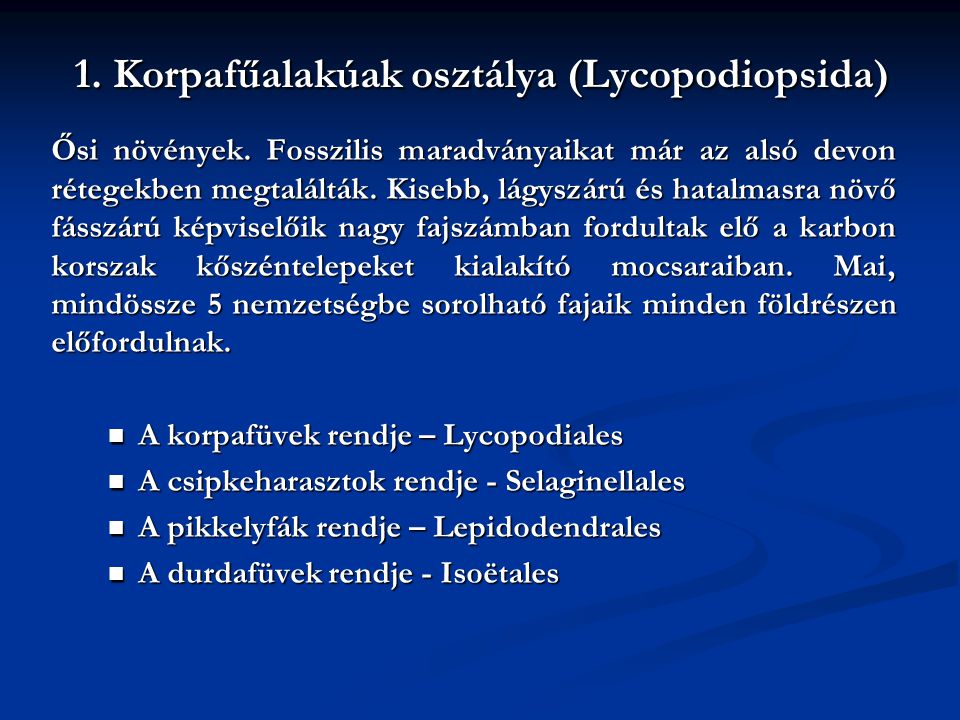 1. Korpafűalakúak osztálya (Lycopodiopsida)