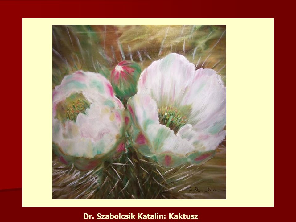 Dr. Szabolcsik Katalin: Kaktusz
