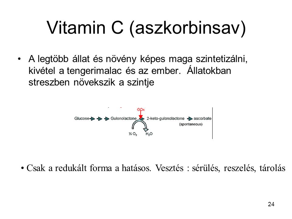 Vitamin C (aszkorbinsav)