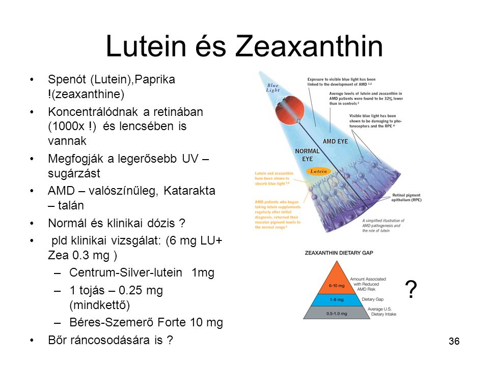 Lutein és Zeaxanthin Spenót (Lutein),Paprika !(zeaxanthine)