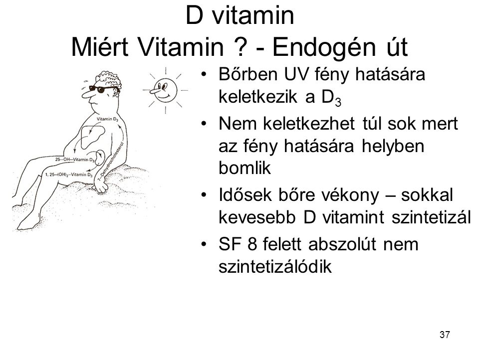 D vitamin Miért Vitamin - Endogén út