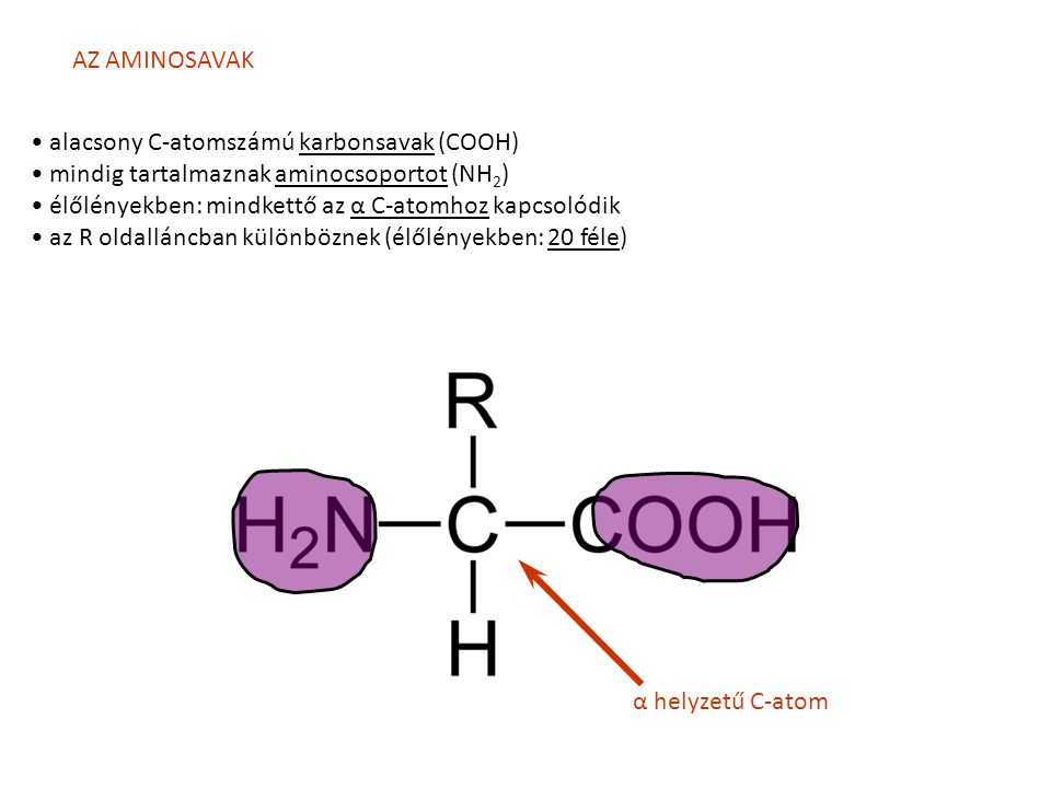 AZ AMINOSAVAK alacsony C-atomszámú karbonsavak (COOH) mindig tartalmaznak aminocsoportot (NH2) élőlényekben: mindkettő az α C-atomhoz kapcsolódik.