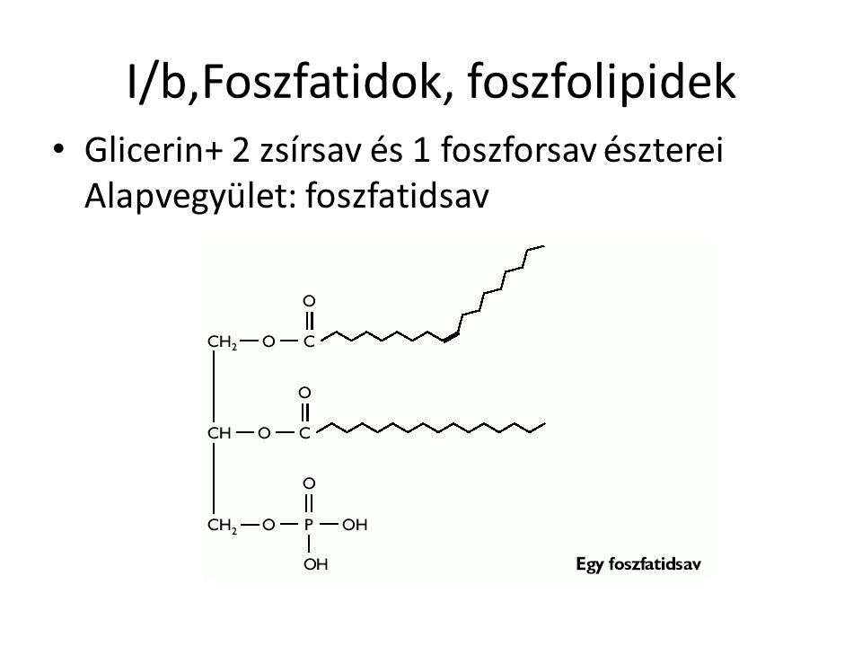 I/b,Foszfatidok, foszfolipidek