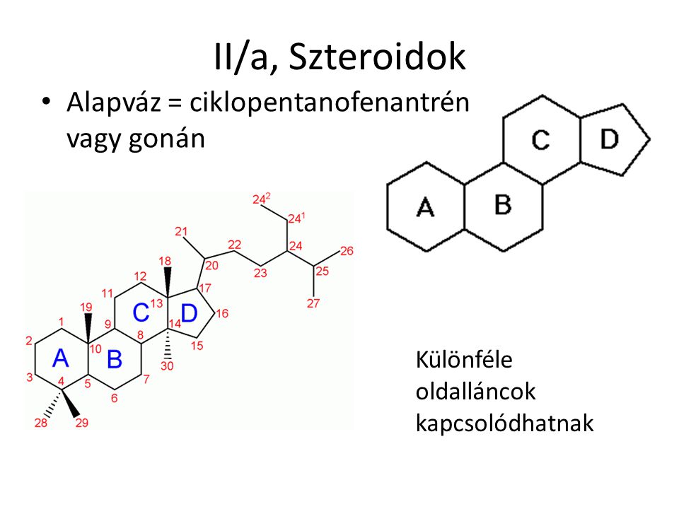 II/a, Szteroidok Alapváz = ciklopentanofenantrén vagy gonán