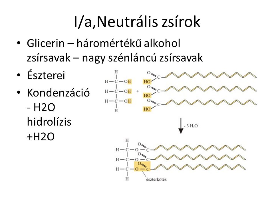 I/a,Neutrális zsírok Glicerin – háromértékű alkohol zsírsavak – nagy szénláncú zsírsavak. Észterei.