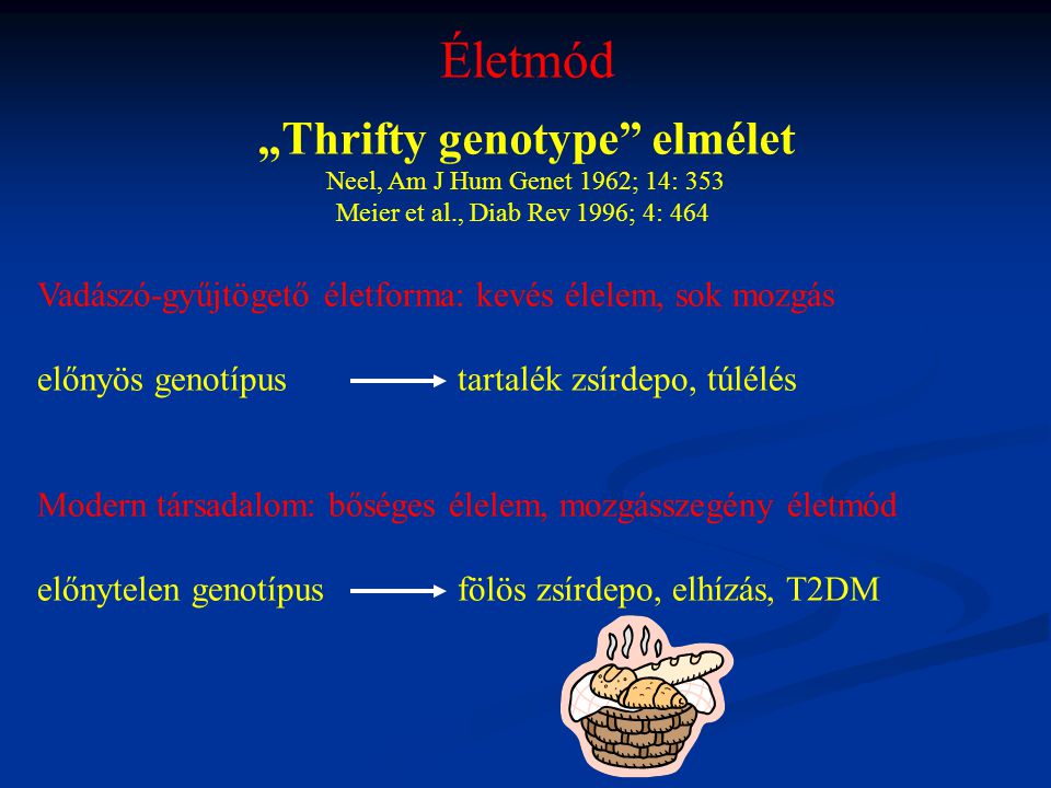 „Thrifty genotype elmélet