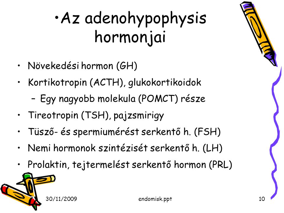 Az adenohypophysis hormonjai