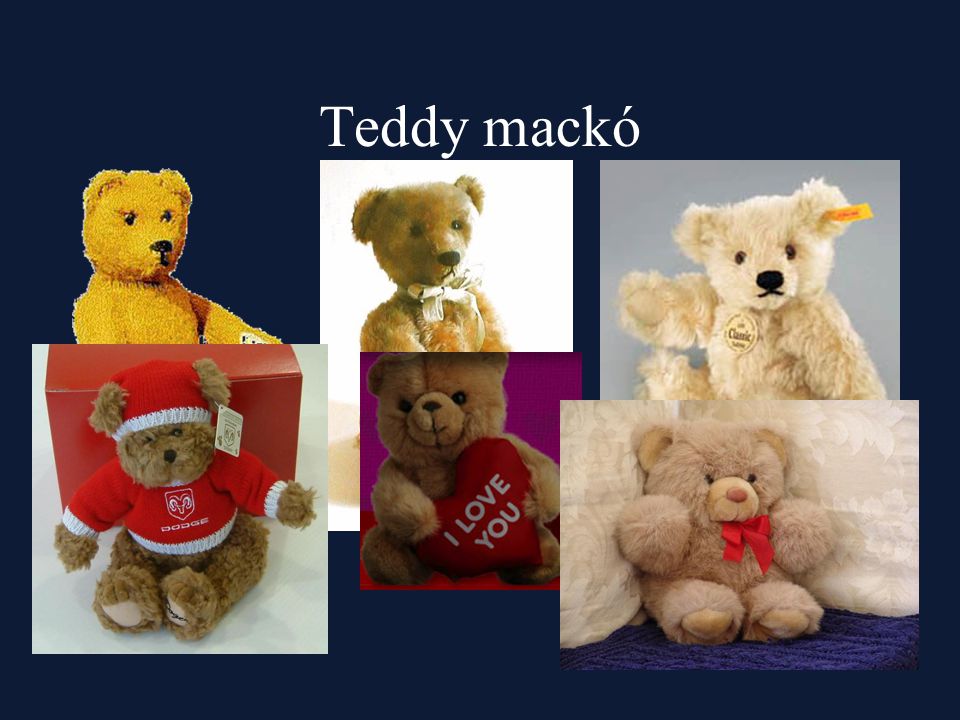 Teddy mackó